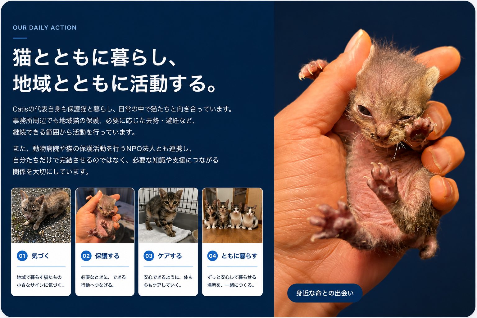 猫とともに暮らし、地域とともに活動する。Catisの猫の保護活動